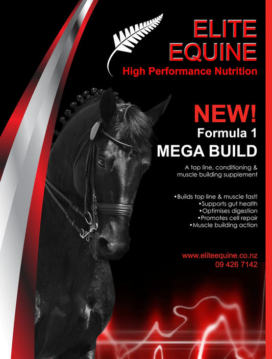 Elite Equine NZ - Nutrition, but better!