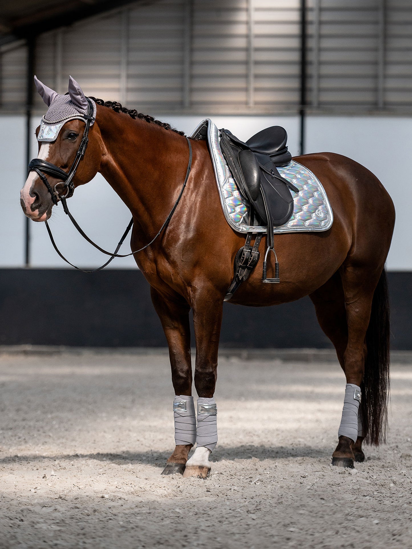 PS of Sweden - Holiday Dazzling Metallic Dressage Saddlepad - Dazzling Silver