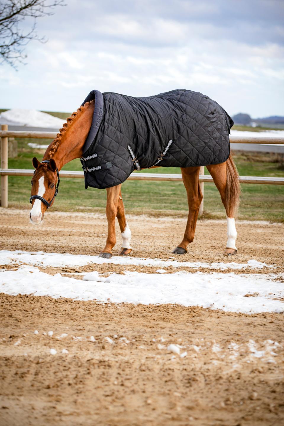 Catago Denver Stable Rug - 100g