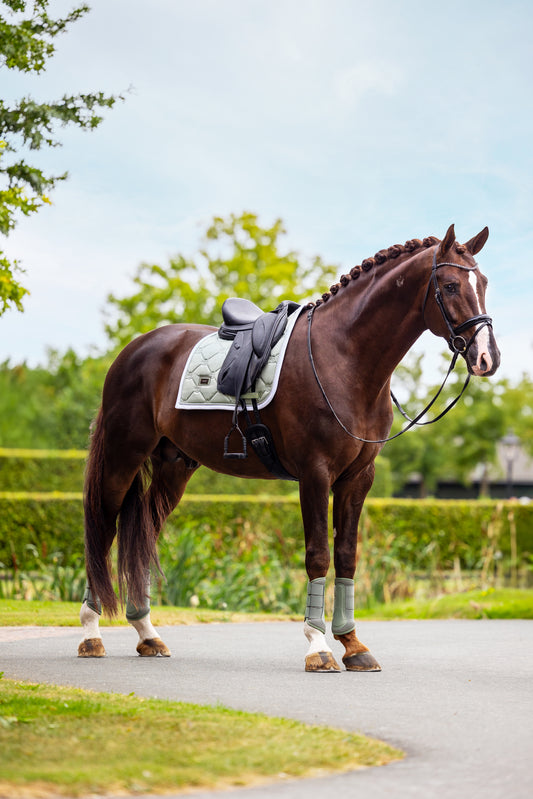 Equestrian Stockholm - Pistachio White Dressage