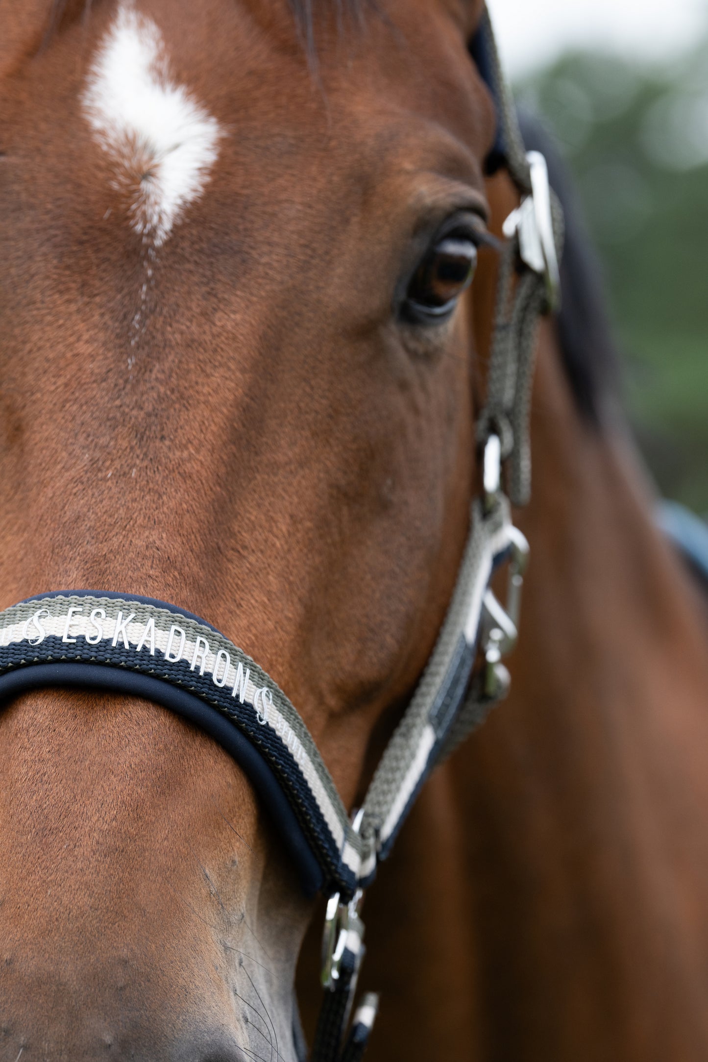 Eskadron Classic Sports - Doublepin headcollar