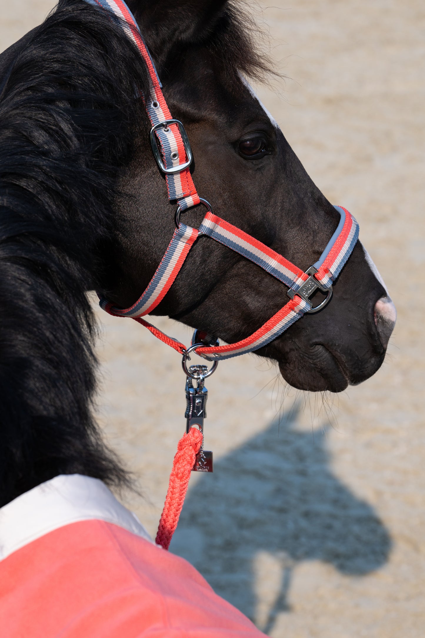 Eskadron Classic Sports - Doublepin headcollar