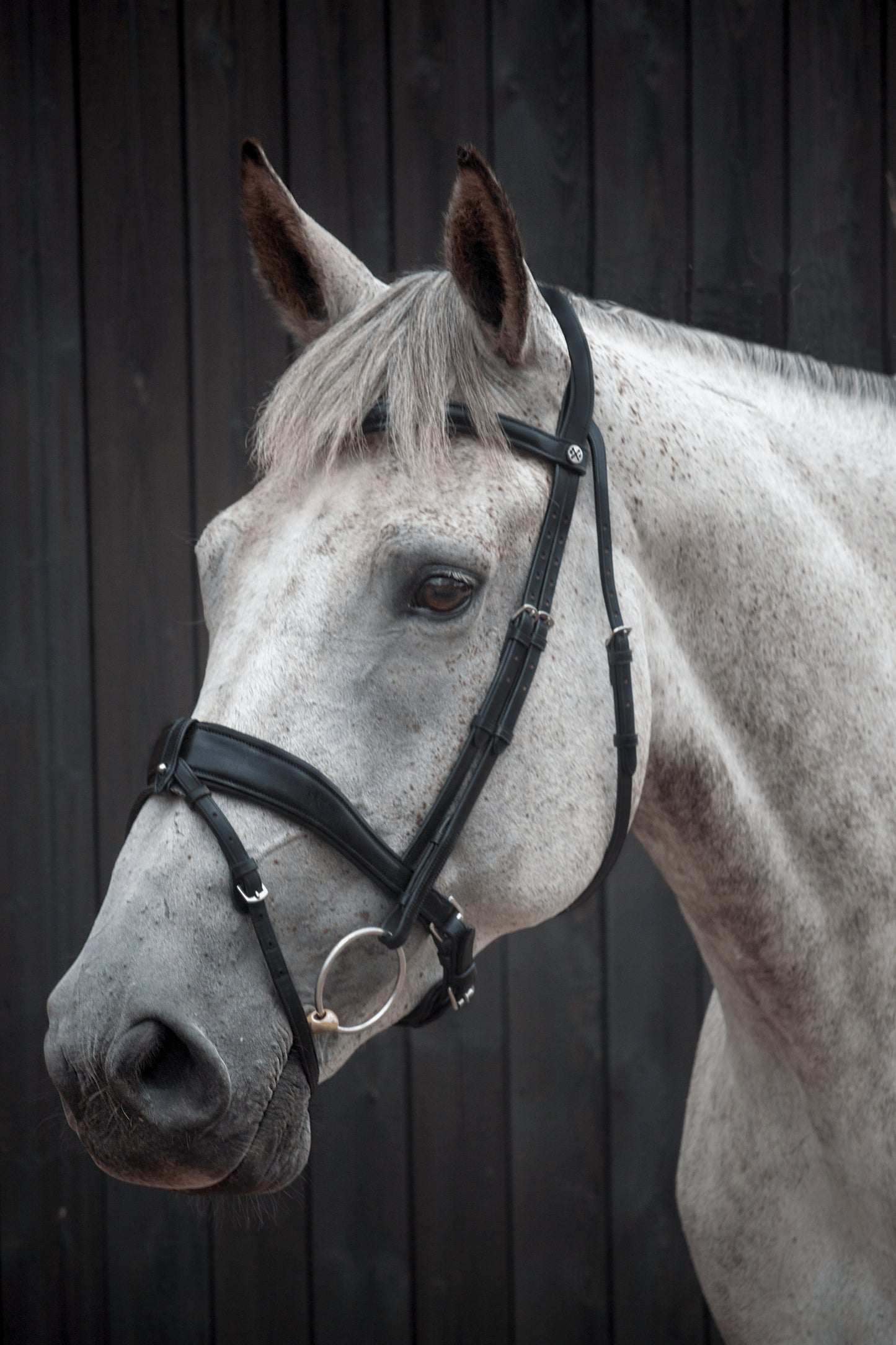 Henry James Saddlery - Dressage Bridle - Black Leather