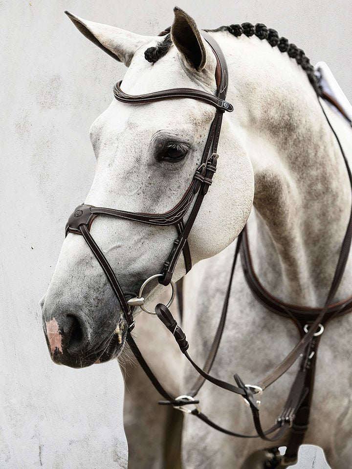 PS of Sweden - Athens Bridle (limited edition)