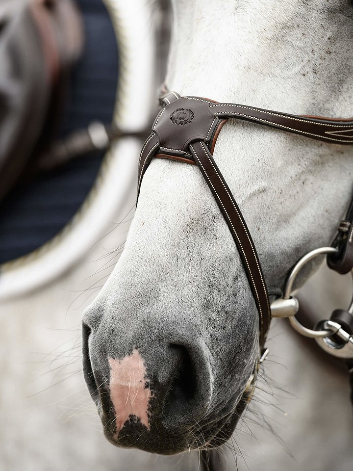 PS of Sweden - Athens Bridle (limited edition)