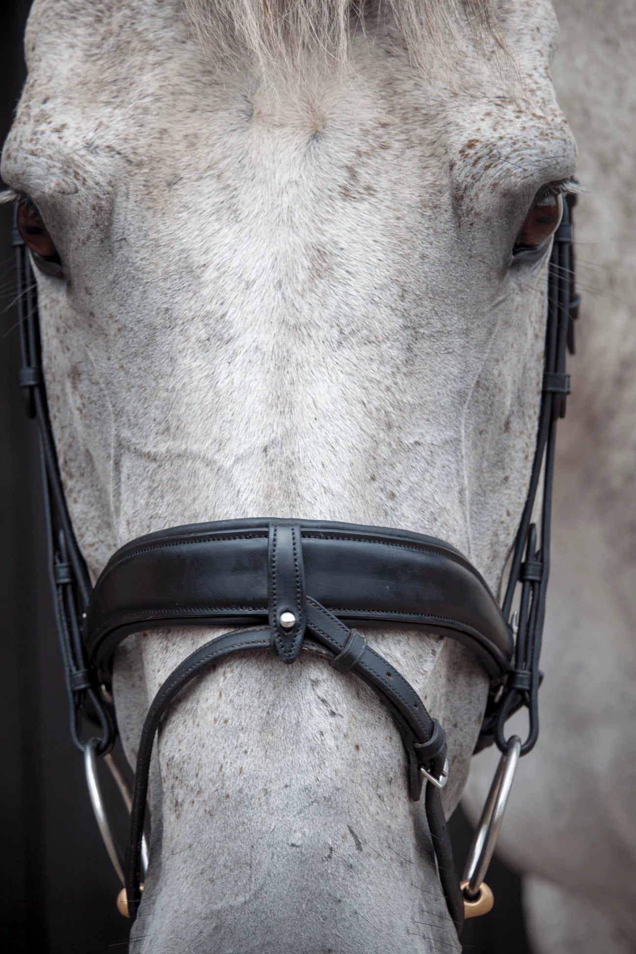 Henry James Saddlery - Dressage Bridle - Black Leather