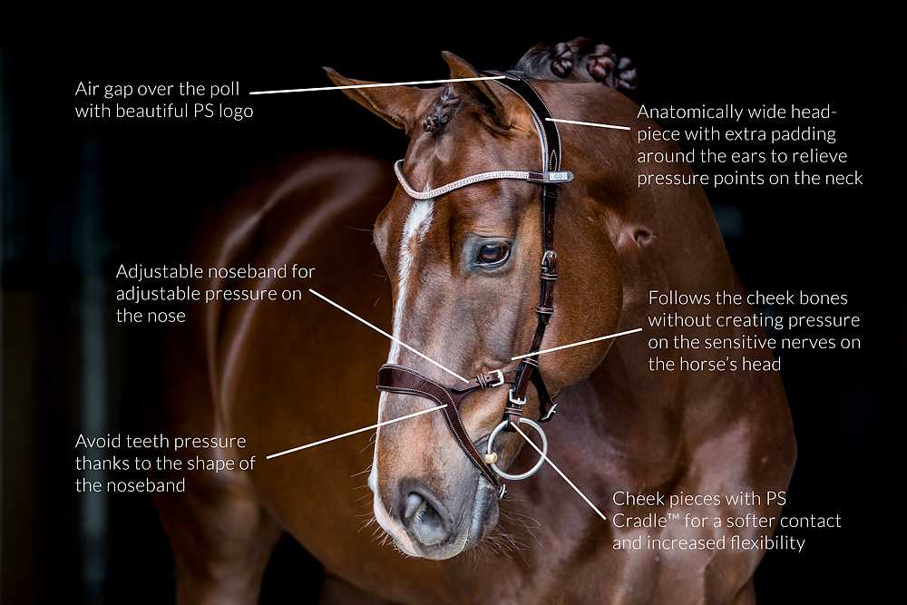 PS of Sweden - Nirak Bridle