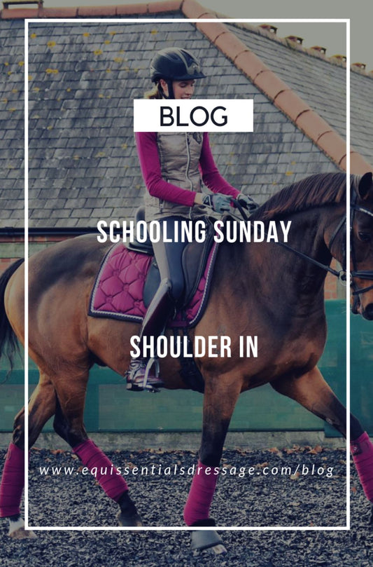 Schooling Sunday - Shoulder In