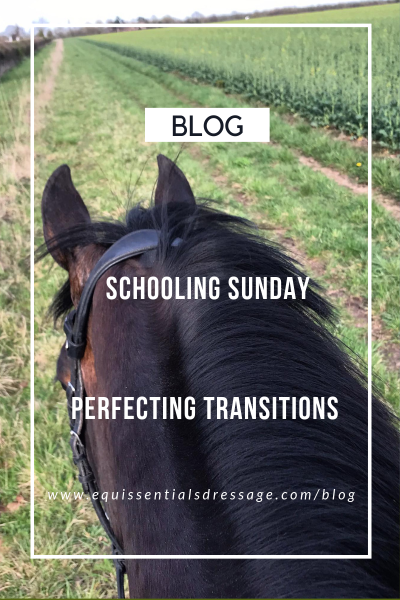Schooling Sunday - Perfecting the transitions
