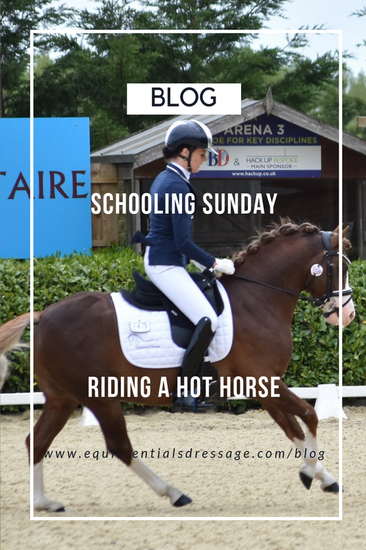 Schooling Sunday - Riding a hotter horse in the walk & trot