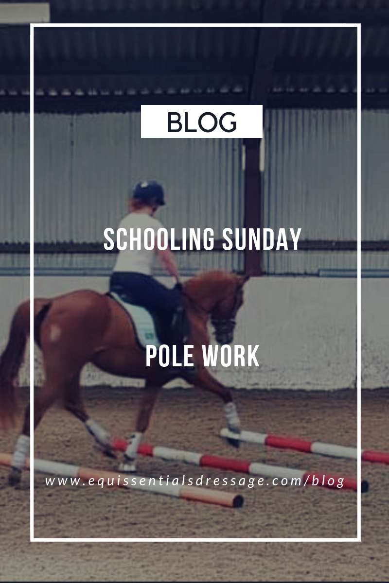 Schooling Sunday - Polework