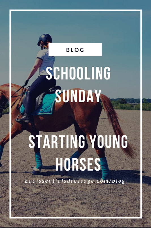 Schooling Sunday - Starting Young Horses