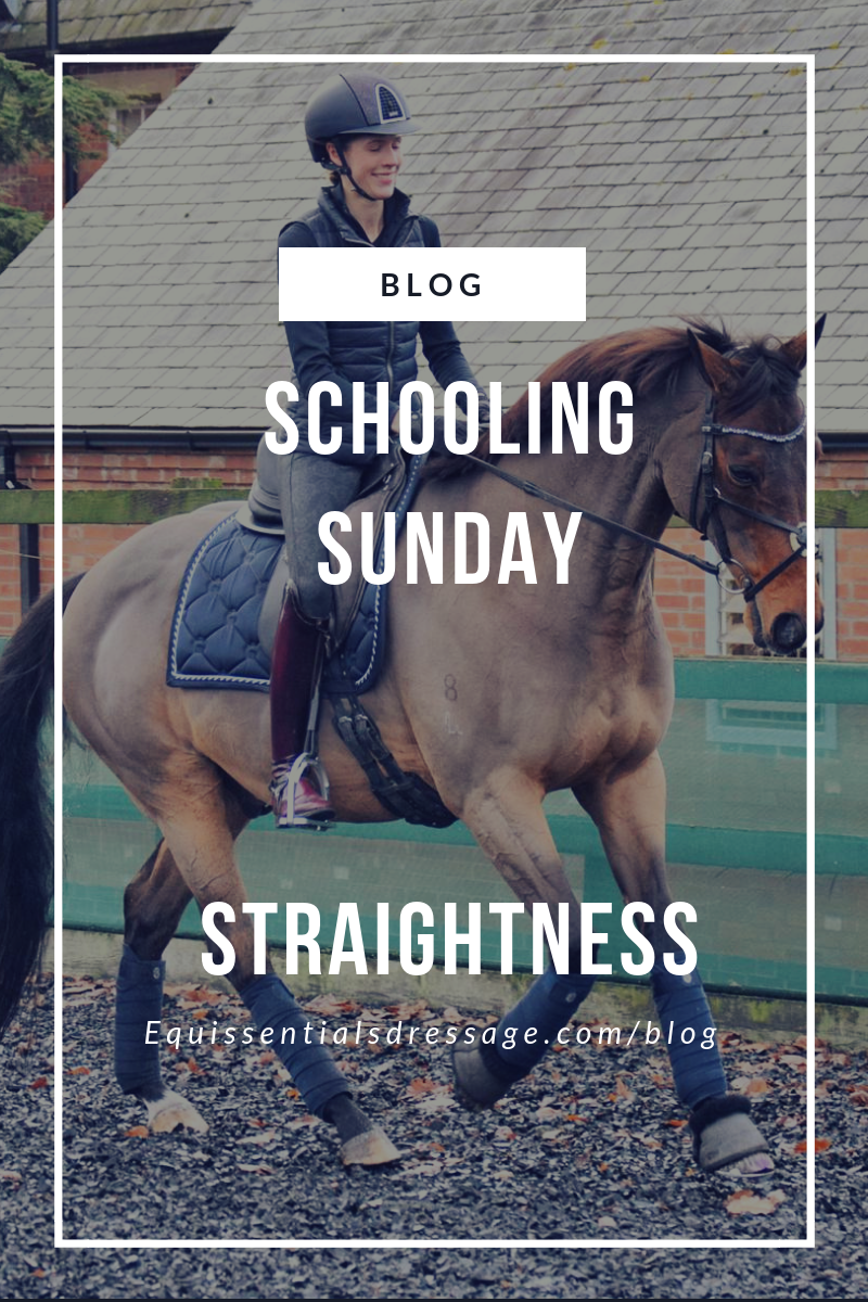 Schooling Sunday - Our New Feature!