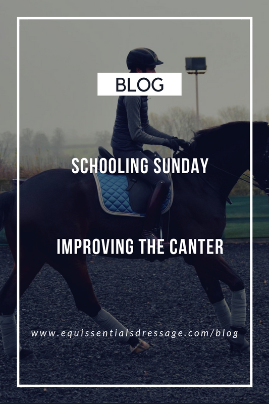 Schooling Sunday - Improving the canter