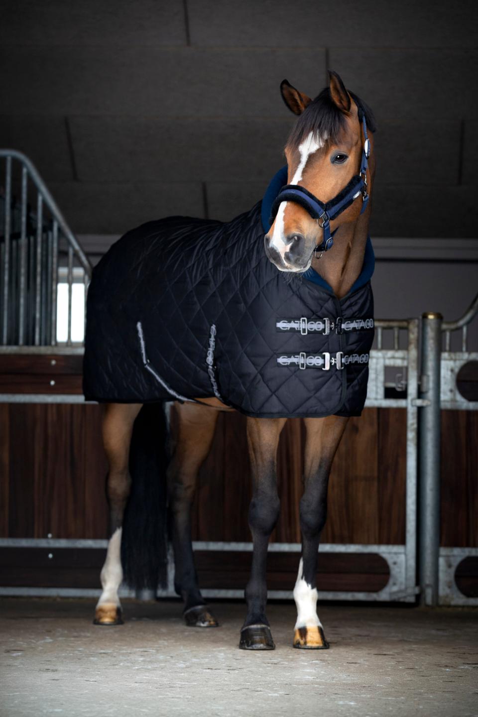 Catago Denver Stable Rug - 300g