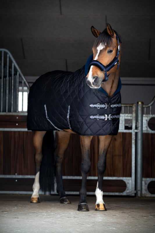 Catago Denver Stable Rug - 300g