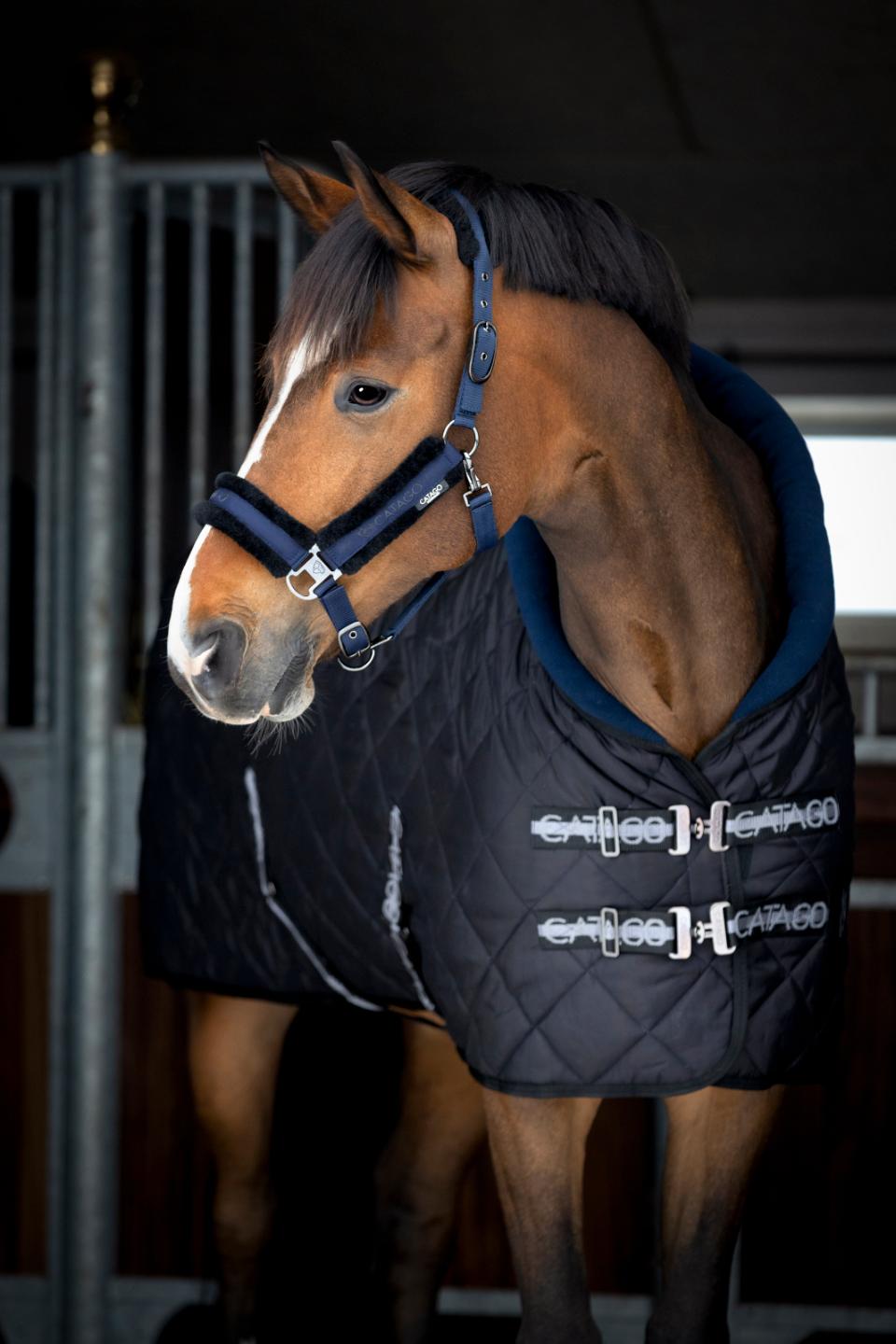 Catago Denver Stable Rug - 300g