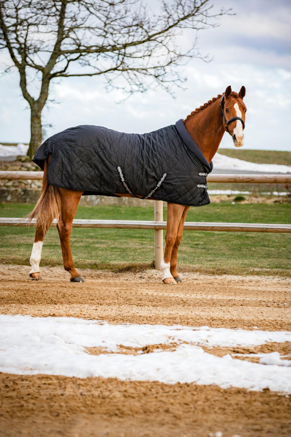 Catago Denver Stable Rug - 100g