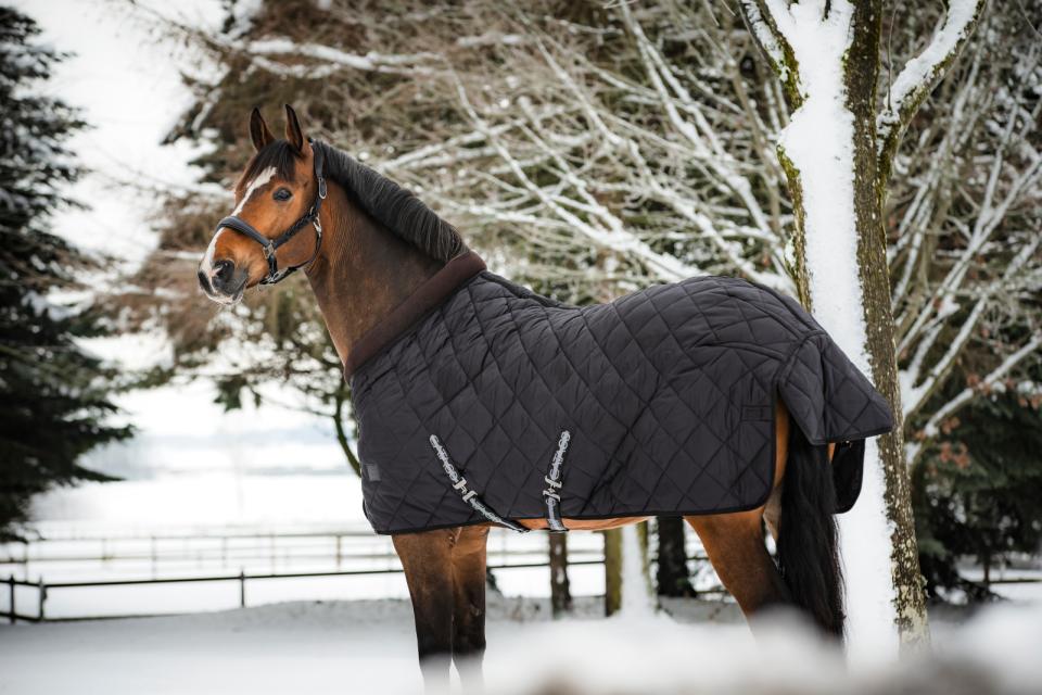 Catago Denver Stable Rug - 500g