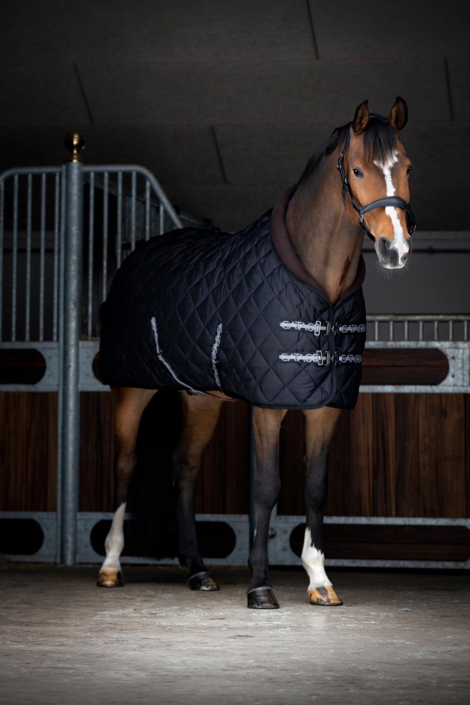 Catago Denver Stable Rug - 500g