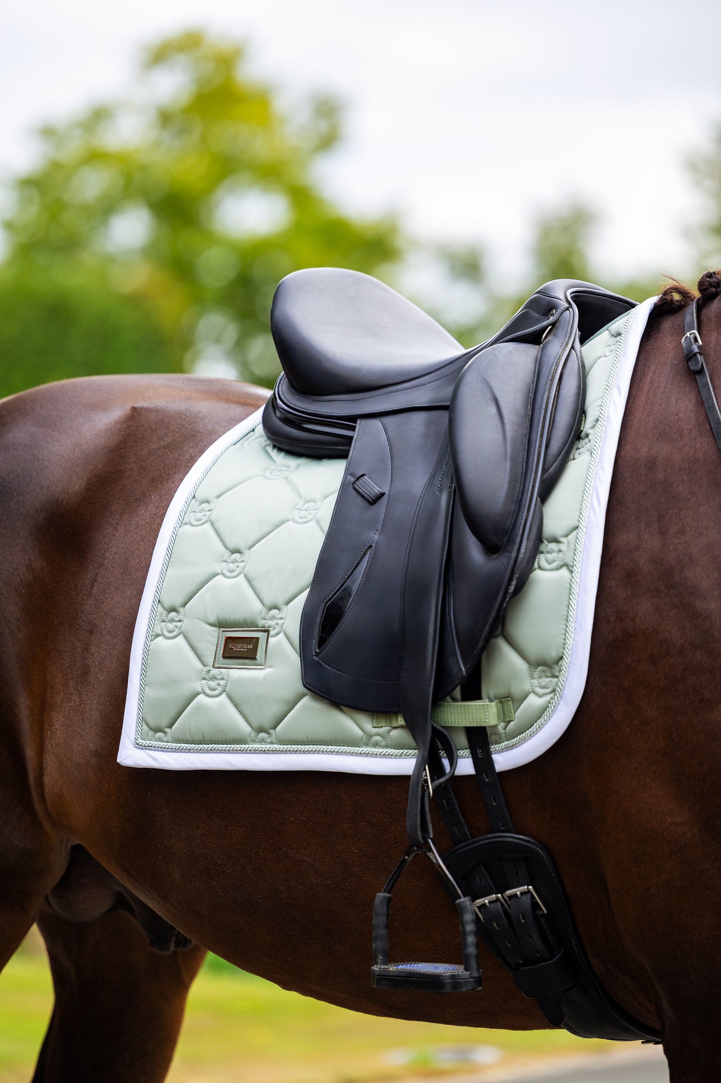 Equestrian Stockholm - Pistachio White Dressage