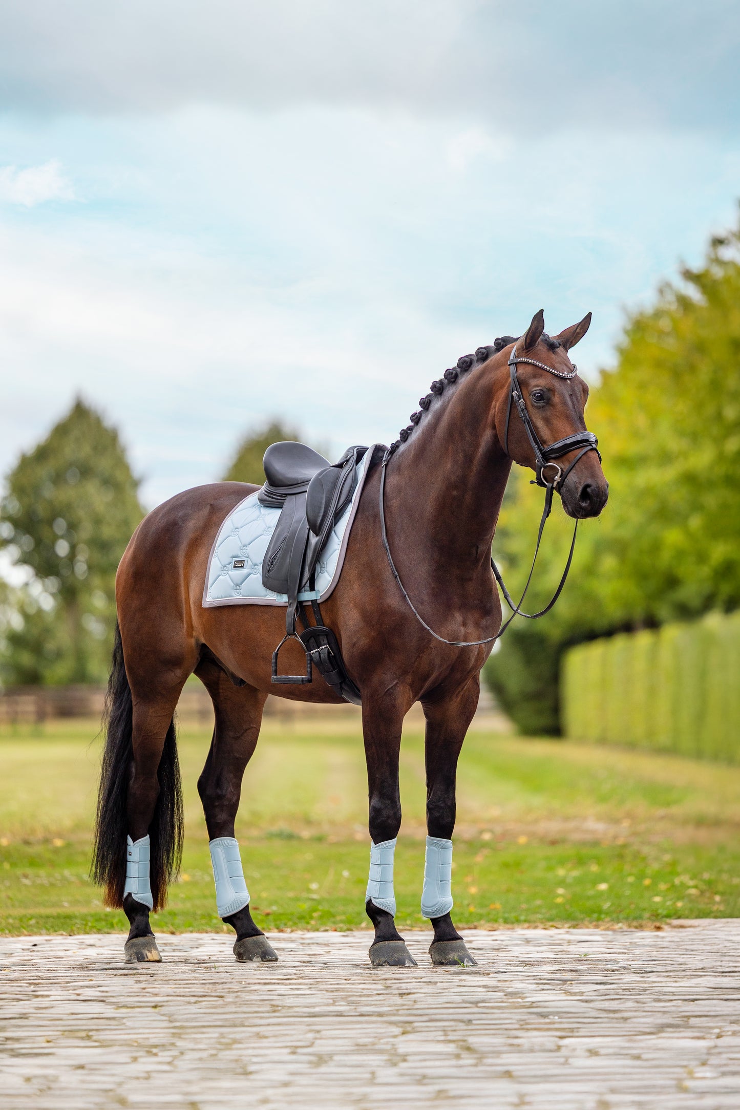 Equestrian Stockholm - Ice Blue Pearl Dressage