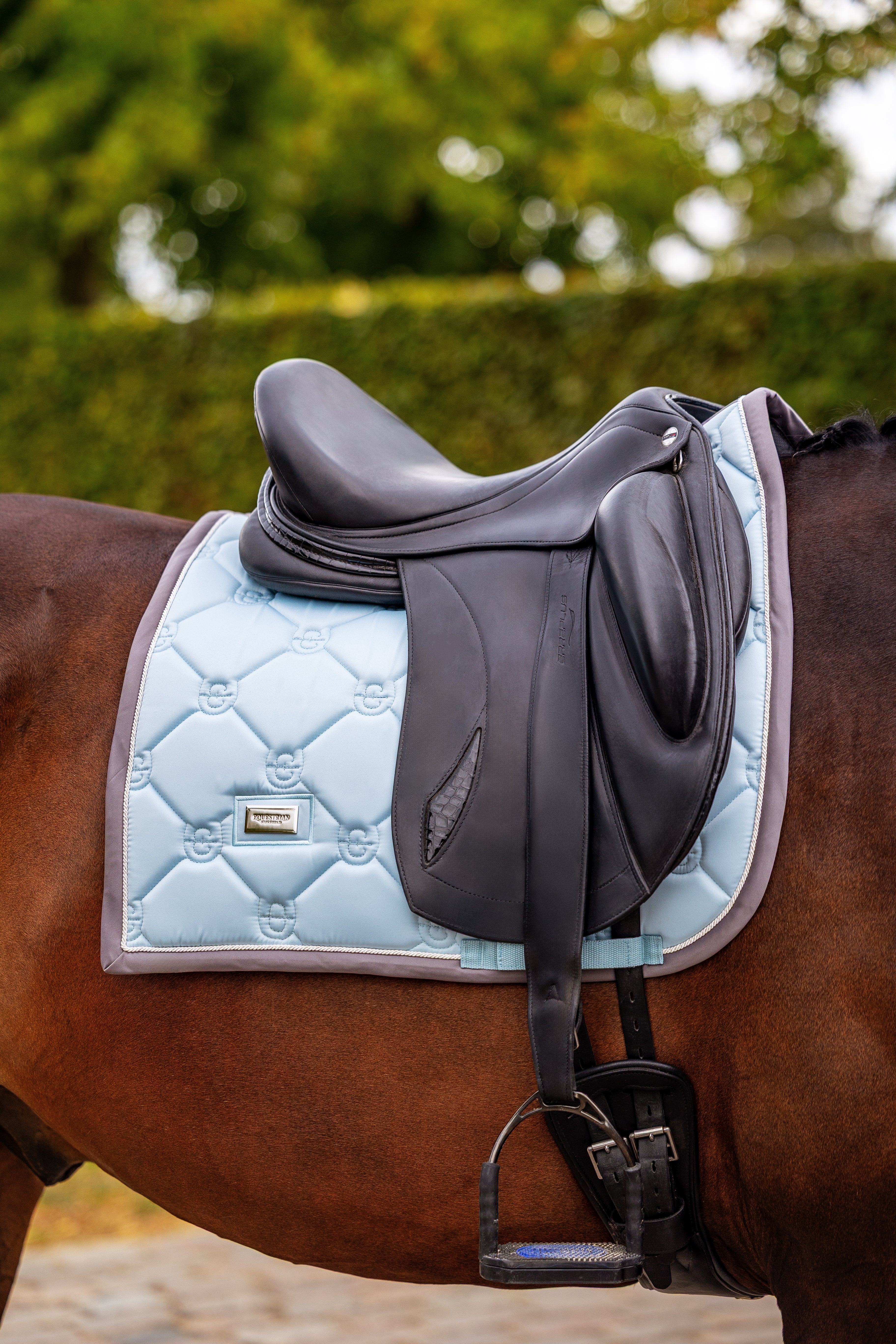 Equestrian Stockholm - Ice Blue Pearl Dressage – Equissentials