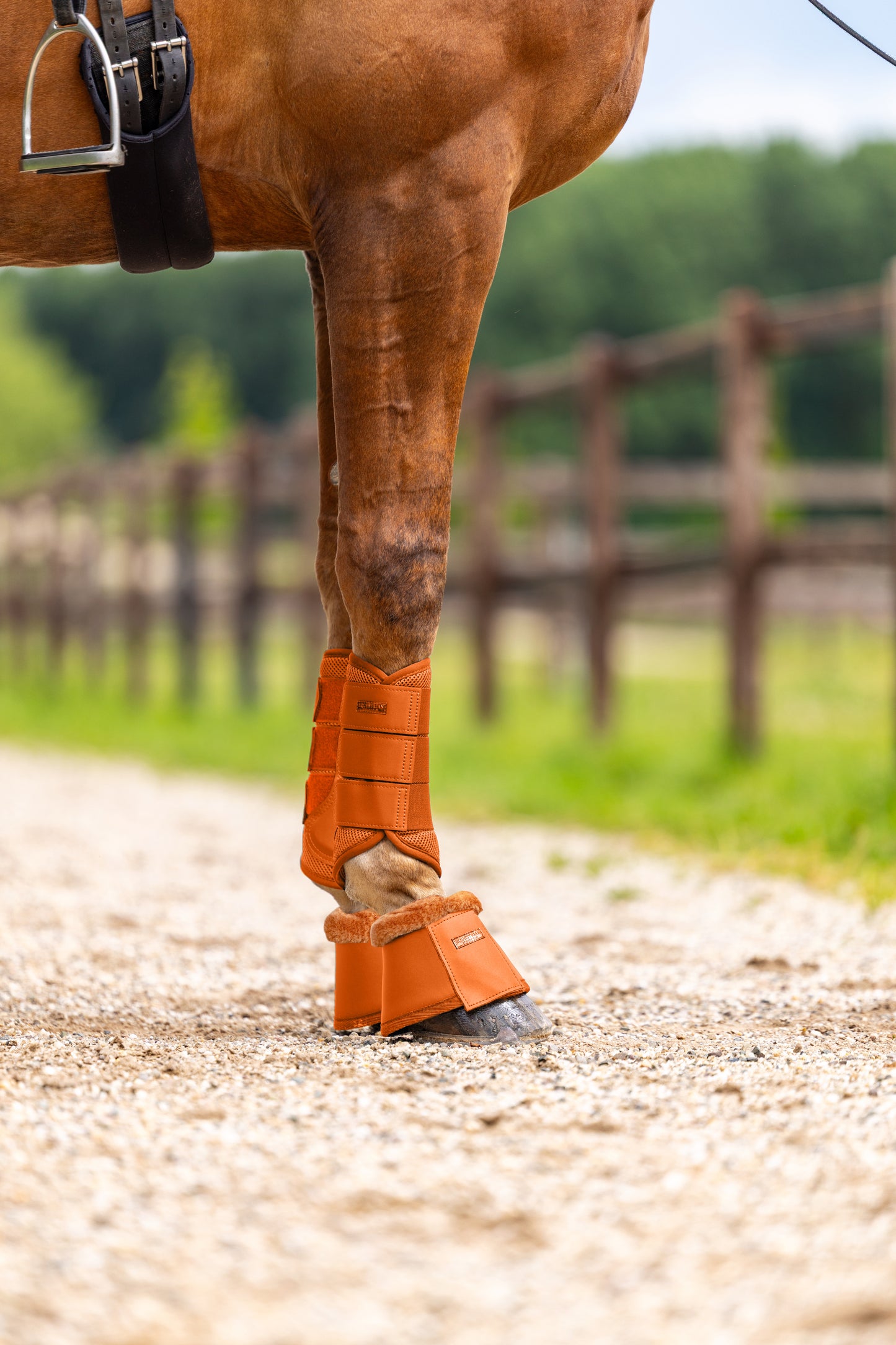 Equestrian Stockholm - Mesh Boots