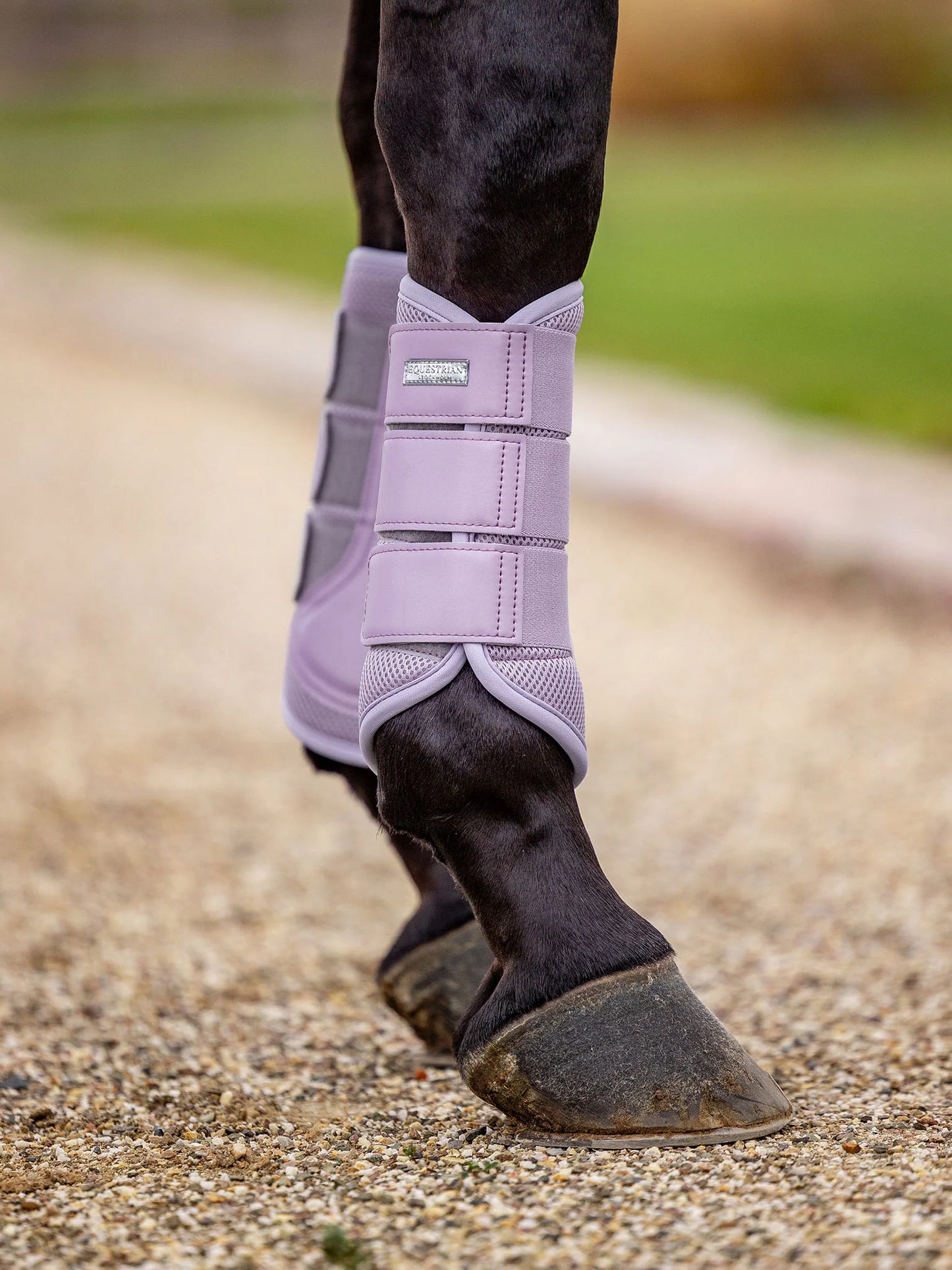 Equestrian Stockholm - Mesh Brushing Boots - Pastel