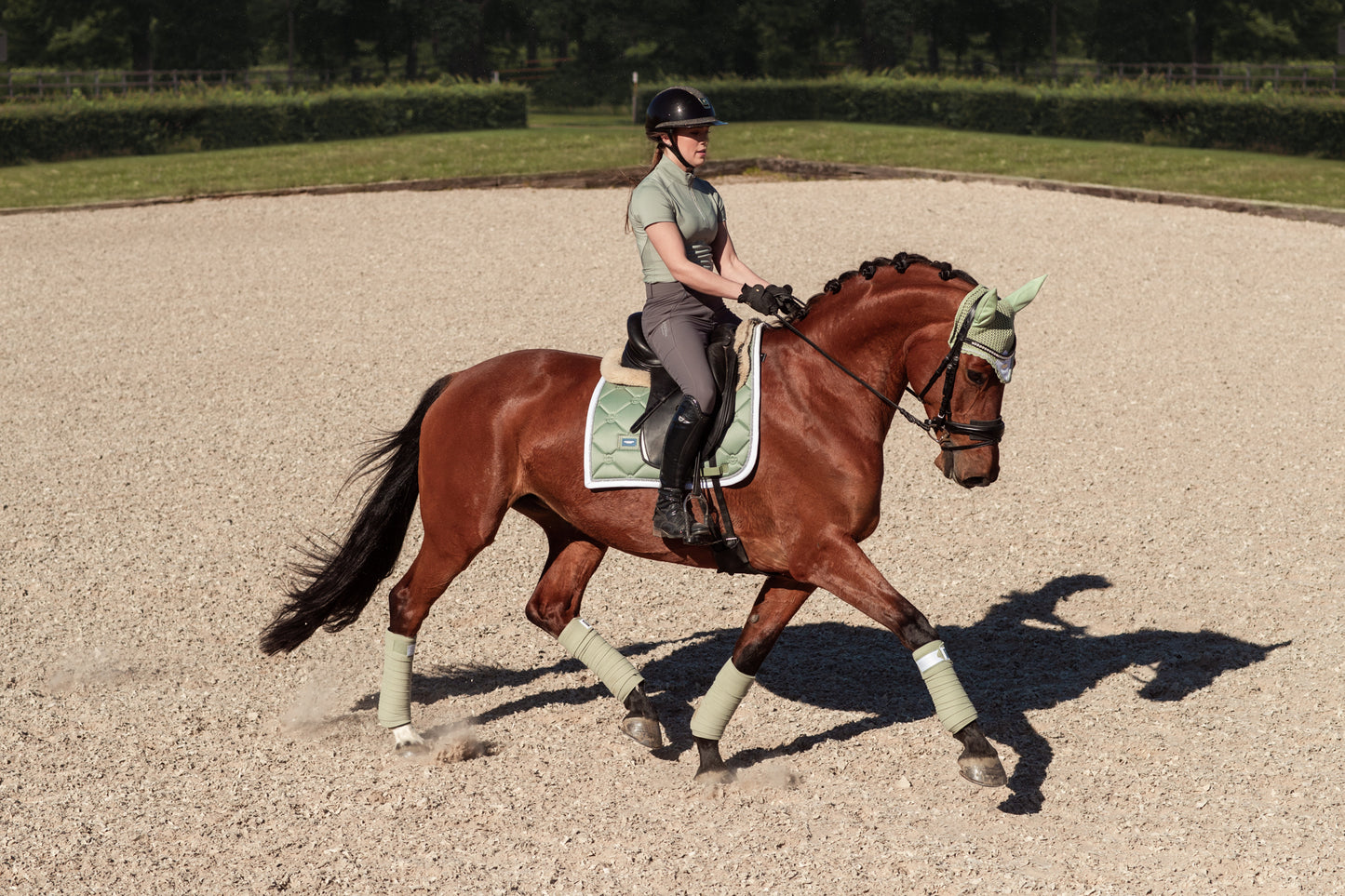 Equestrian Stockholm - Pistachio White Dressage