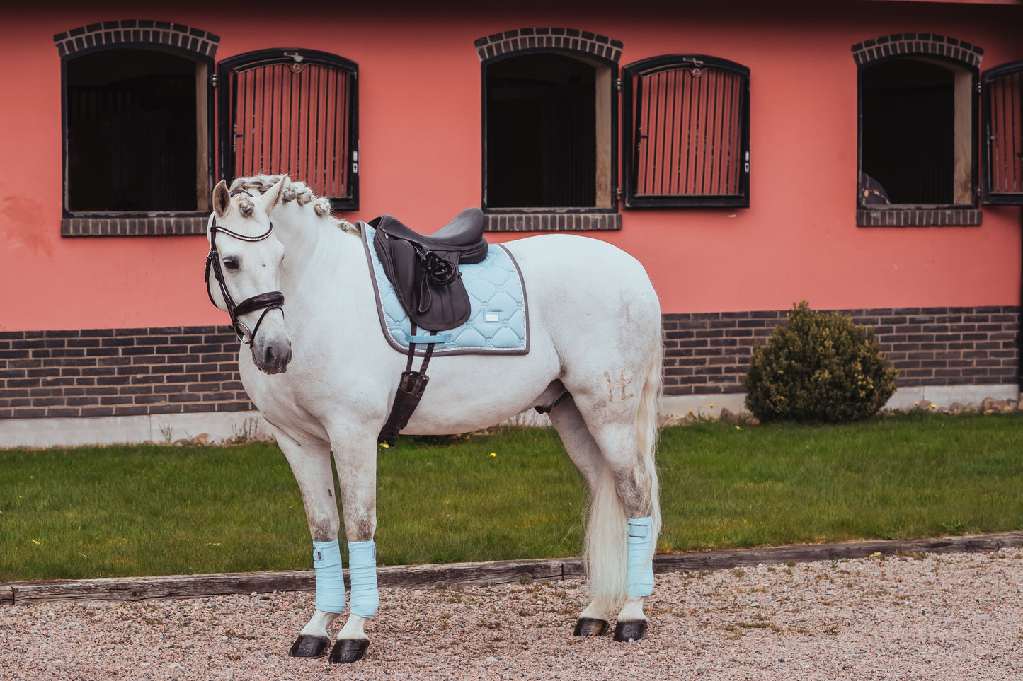 Equestrian Stockholm - Ice Blue Pearl Dressage