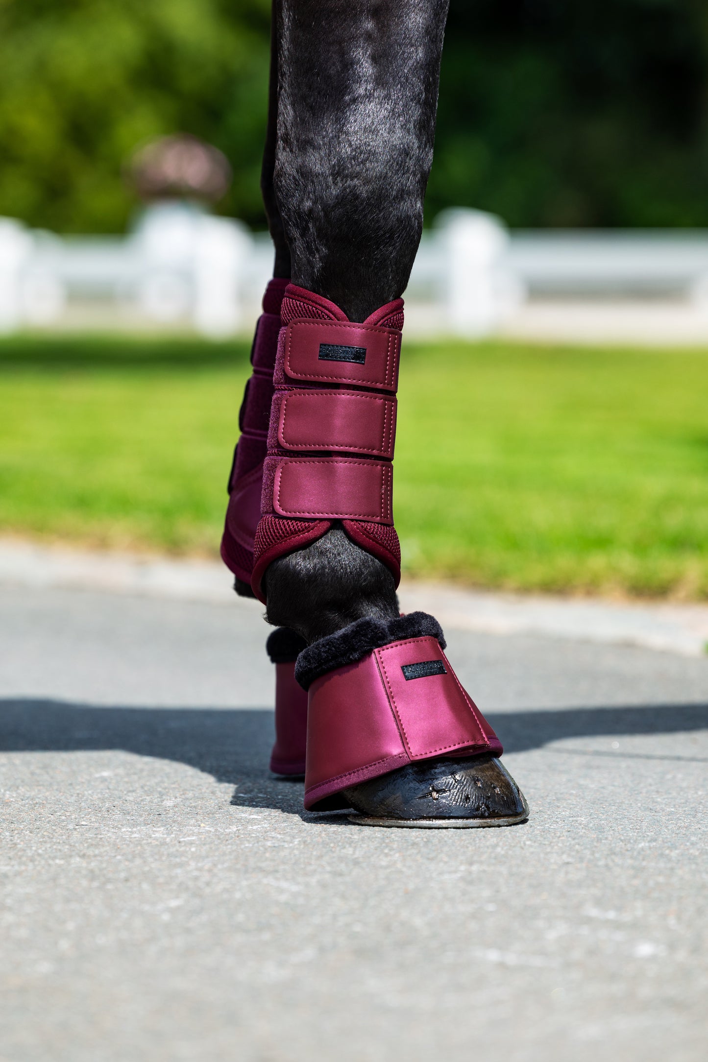 Equestrian Stockholm - Mesh Boots