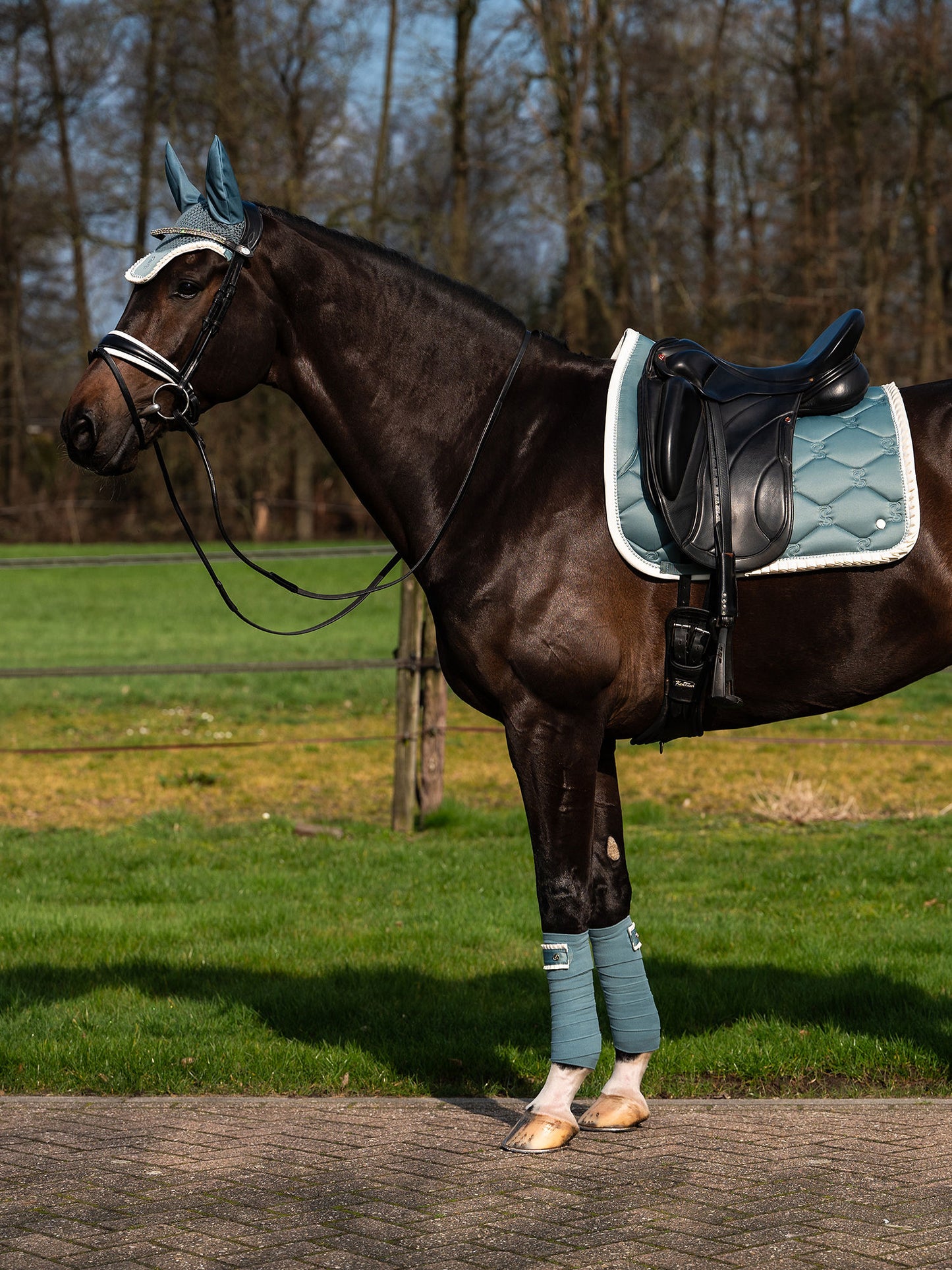 PS of Sweden -  Limited Edition Pearl Ruffle Dressage Saddlepad & Bandages Set - Steel Blue