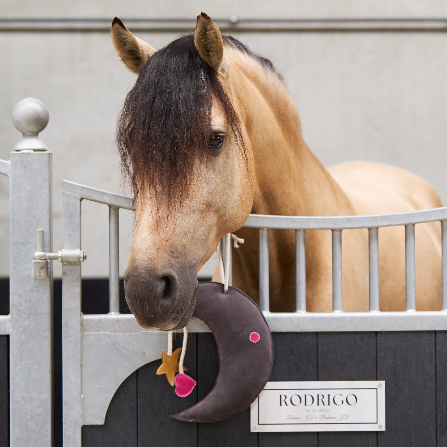 Imperial Riding - Moon Stable Toy