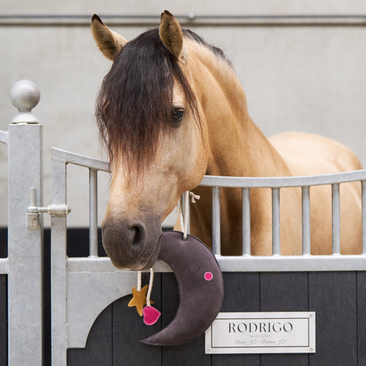 Imperial Riding - Moon Stable Toy