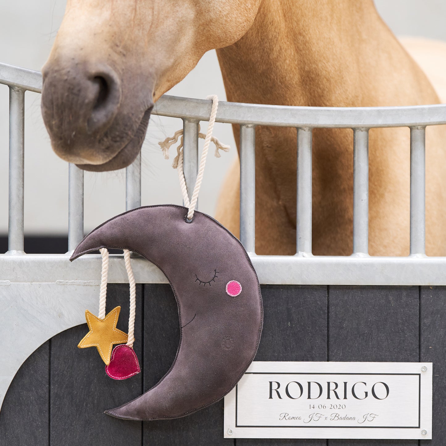 Imperial Riding - Moon Stable Toy