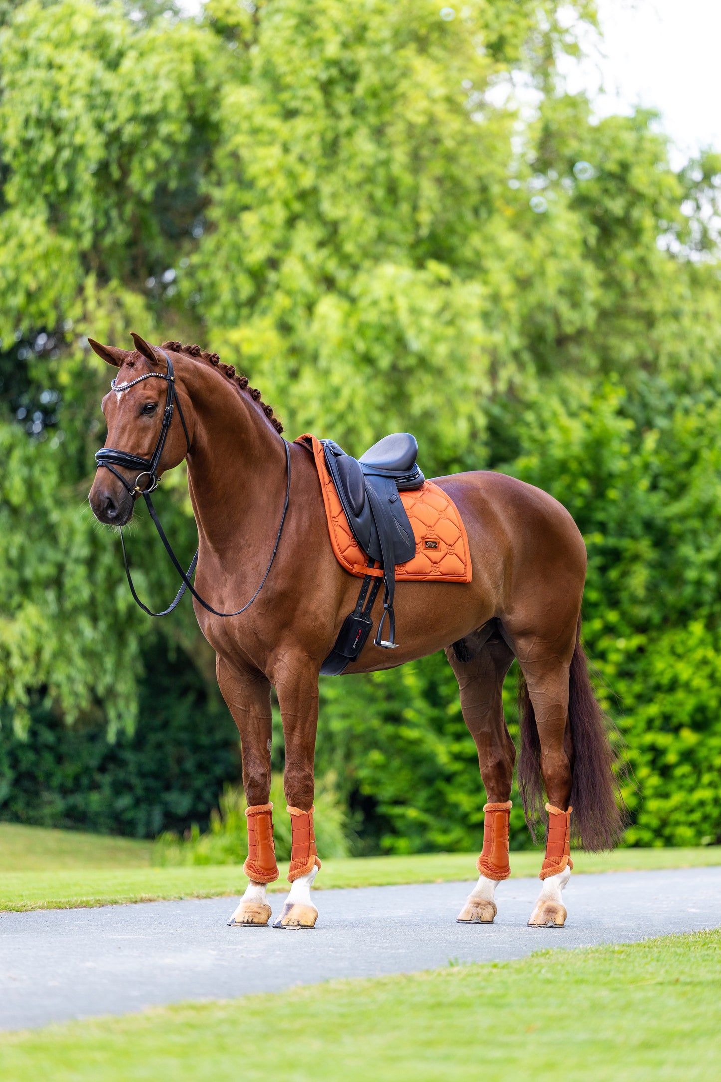 Equestrian Stockholm - Chestnut Satin Saddlepad