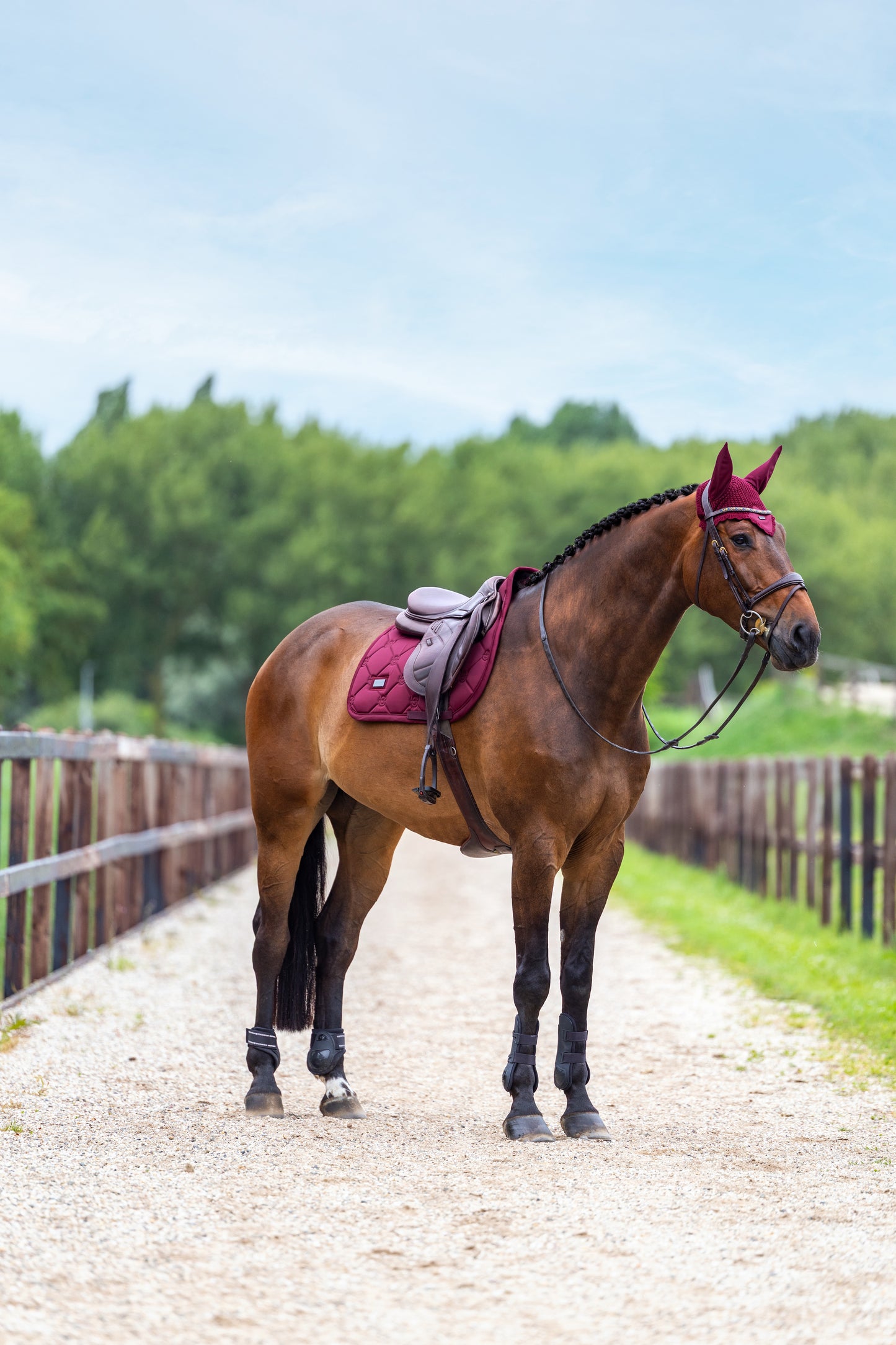 Equestrian Stockholm - Merlot Satin Saddlepad