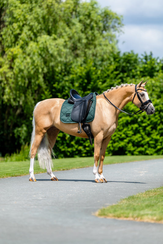 Equestrian Stockholm - Sycamore Green Satin Saddlepad