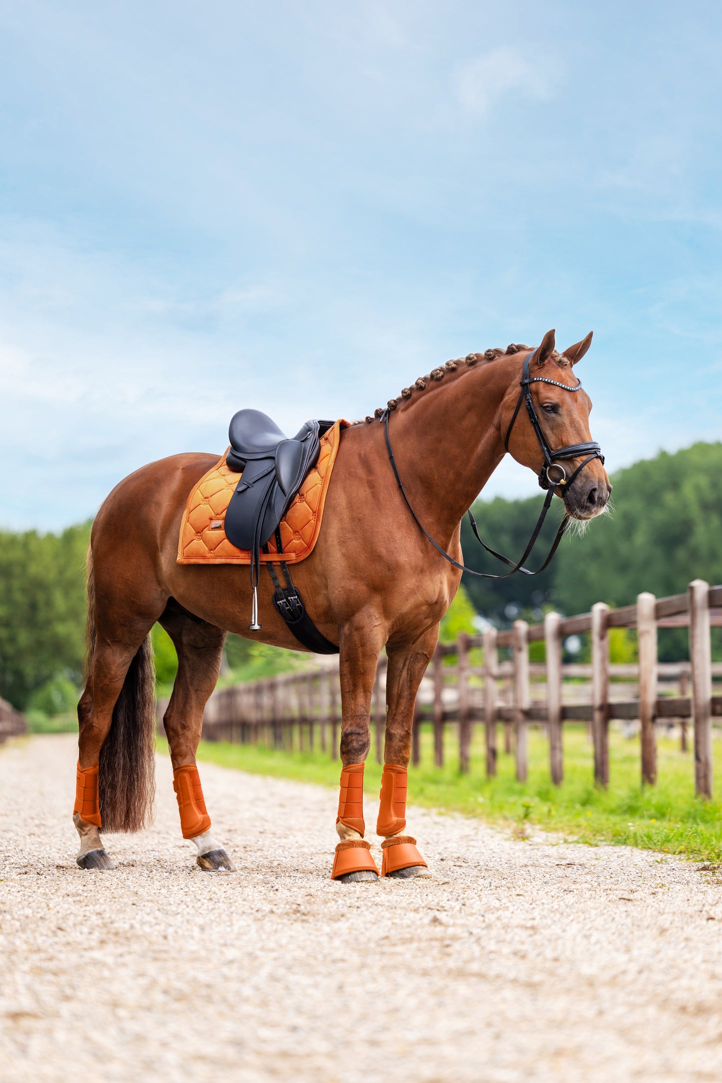Equestrian Stockholm - Chestnut Velvet Saddlepad