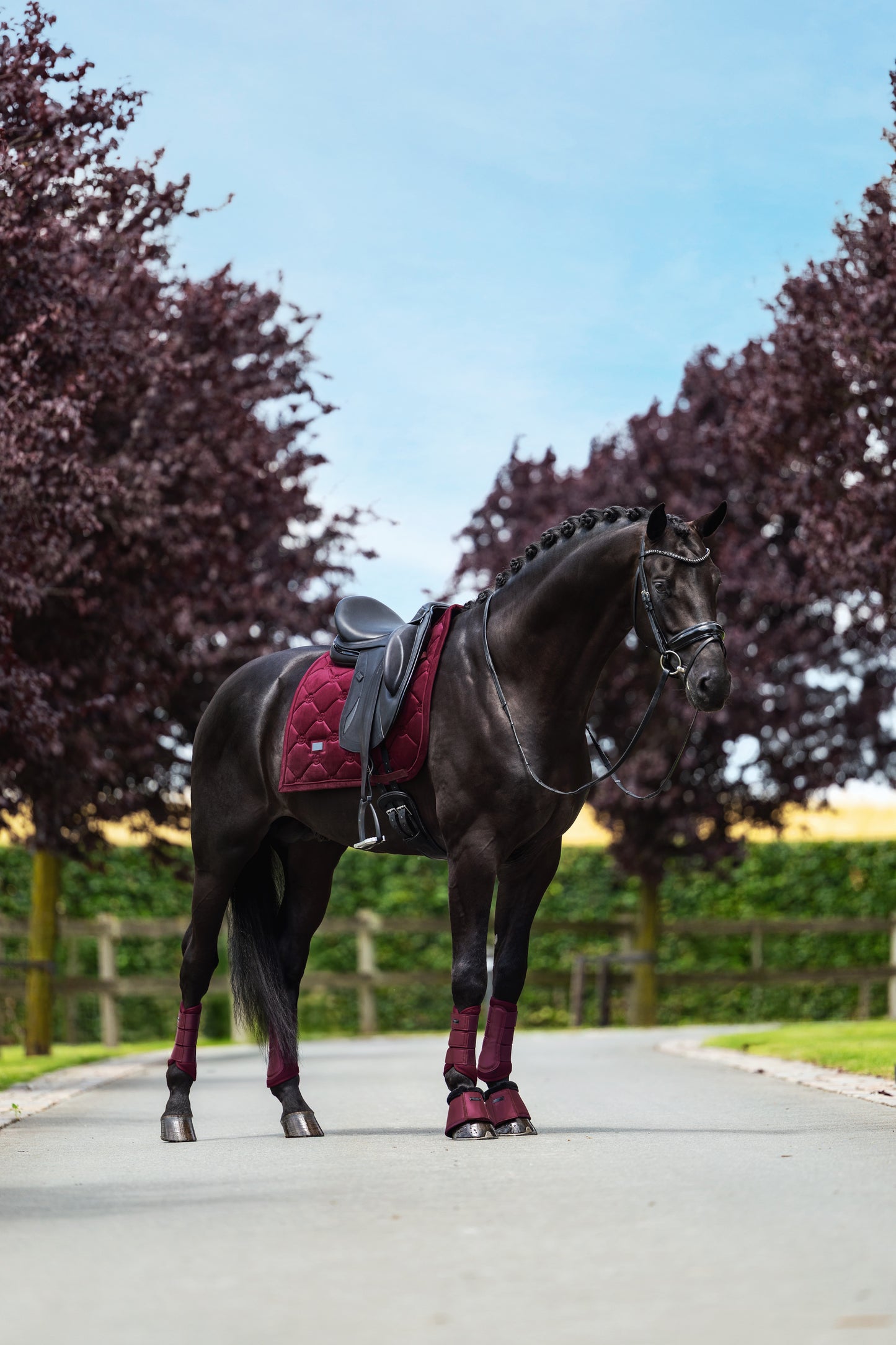 Equestrian Stockholm - Merlot Velvet Saddlepad