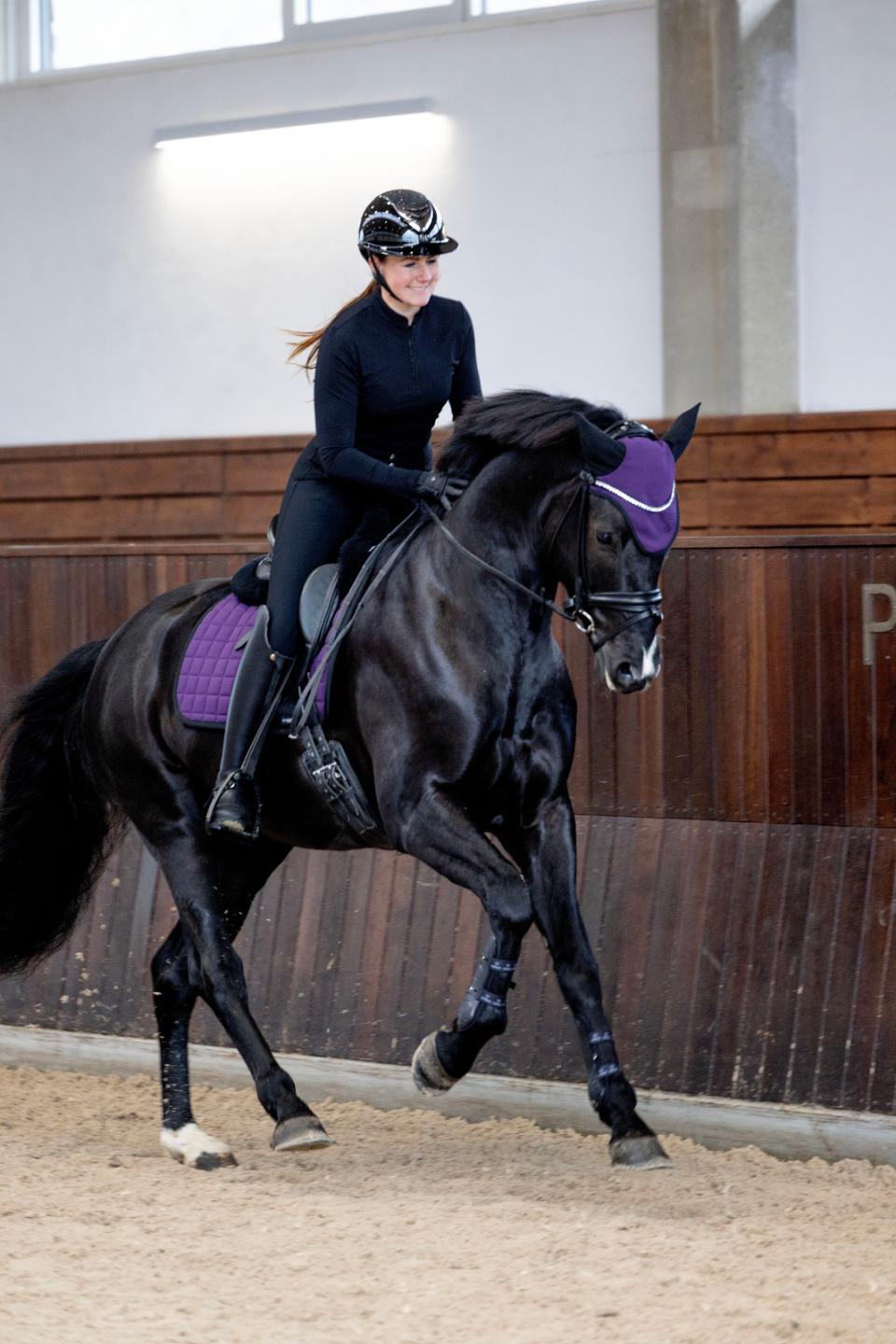 Catago - Fir Tech Dressage Saddlepad - Purple Pennant