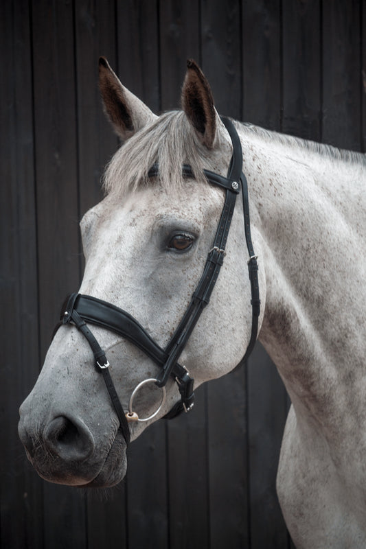 Henry James Saddlery -  Dressage Bridle - Black Leather