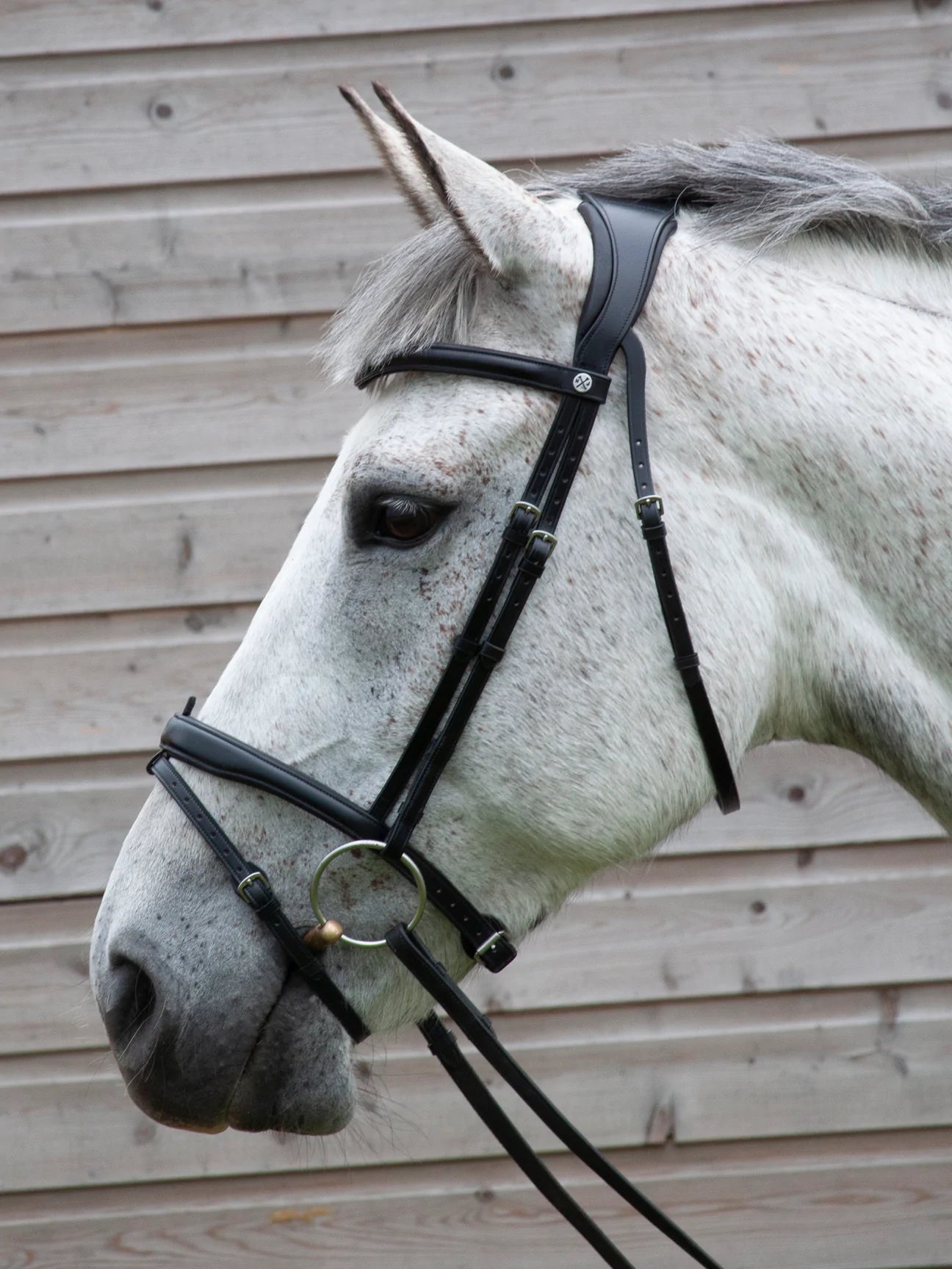 Henry James Saddlery -  Flash Bridle- Black Leather