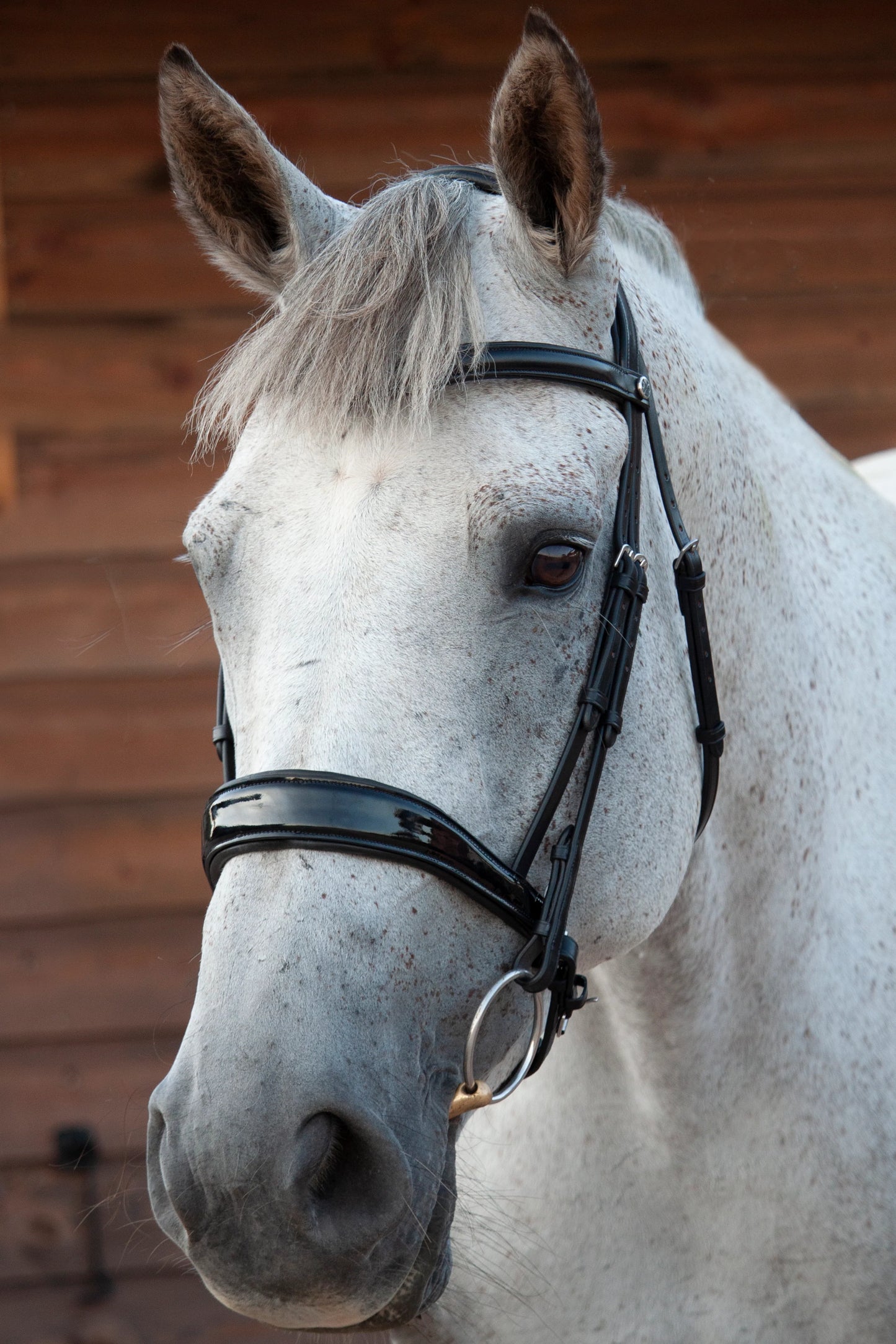 Henry James Saddlery -  Deluxe Patent Dressage Bridle - Black Leather