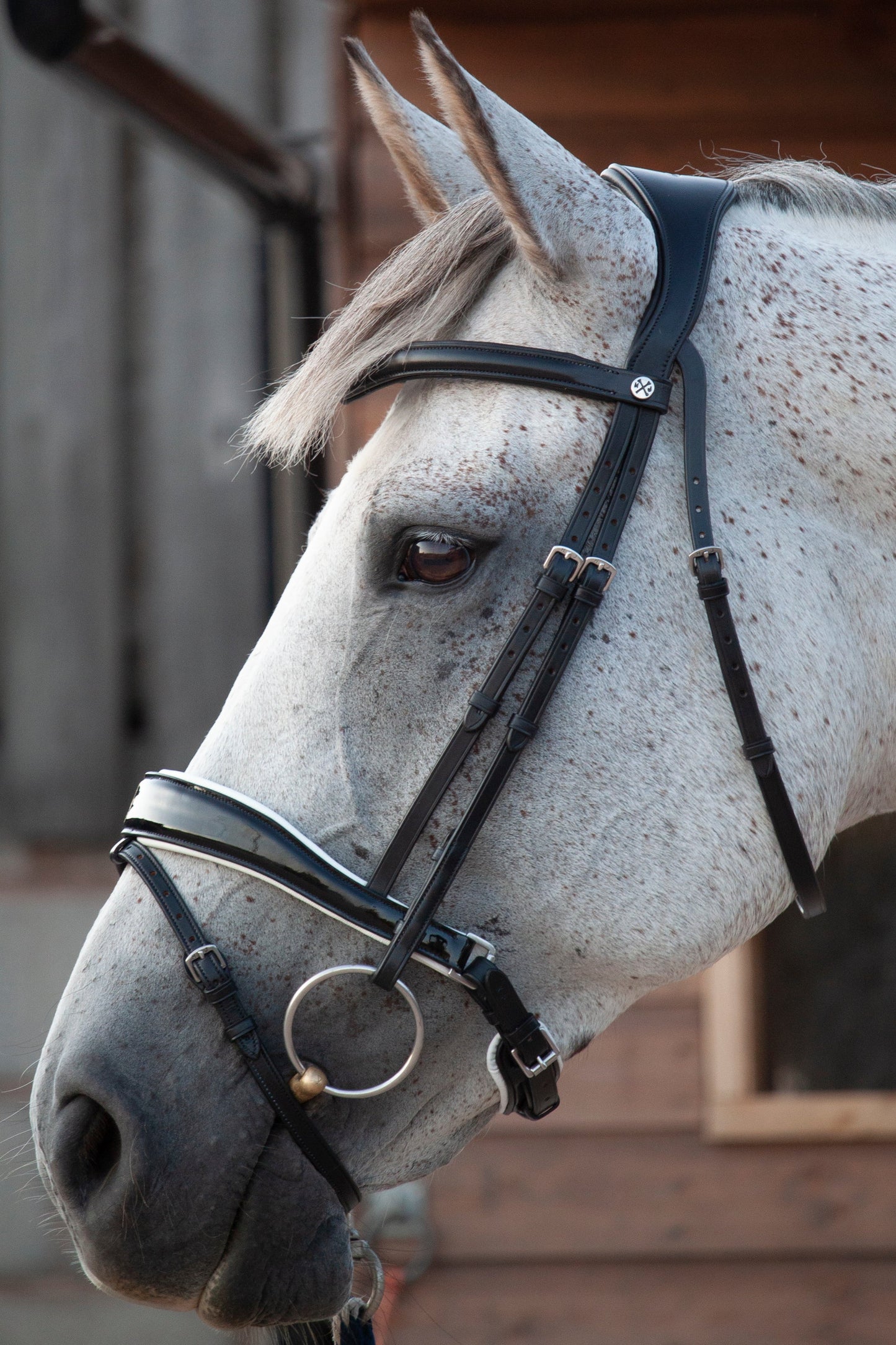 Henry James Saddlery -  Patent/White piped Dressage Bridle - Black Leather
